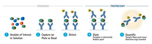 SMC&#174; Human MCP-1 High Sensitivity Immunoassay Kit