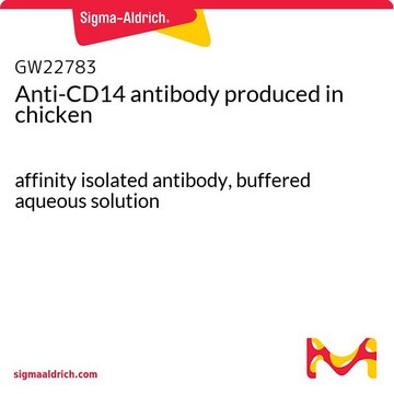 Anti-CD14 antibody produced in chicken affinity isolated antibody, buffered aqueous solution