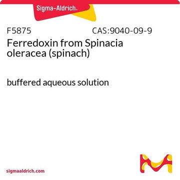 Ferredoxin solution from Spinacia oleracea (spinach) buffered aqueous solution