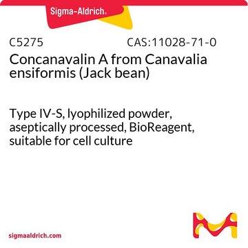 Concanavalin A aus Canavalia ensiformis (Jack bean) Type IV-S, lyophilized powder, aseptically processed, BioReagent, suitable for cell culture