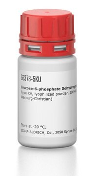 Glucose-6-phosphat-Dehydrogenase aus Backhefe (S. cerevisiae) Type XV, lyophilized powder, 200-400&#160;units/mg protein (modified Warburg-Christian)