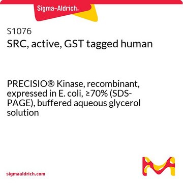 SRC, 活性型, GSTタグ付加 ヒト PRECISIO&#174; Kinase, recombinant, expressed in E. coli, &#8805;70% (SDS-PAGE), buffered aqueous glycerol solution