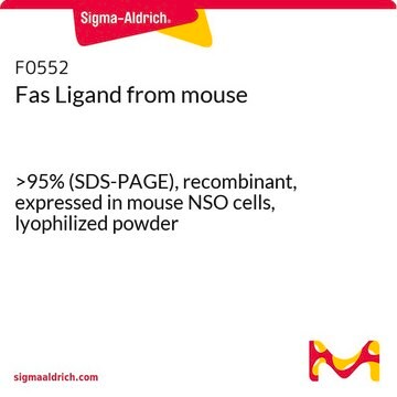 Fasリガンド マウス由来 &gt;95% (SDS-PAGE), recombinant, expressed in mouse NSO cells, lyophilized powder