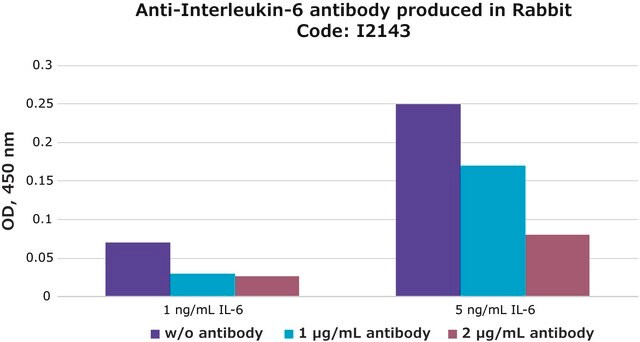 抗インターロイキン-6抗体 ウサギ宿主抗体 IgG fraction of antiserum, buffered aqueous solution