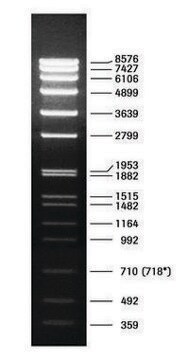 DNA分子量标记VII pkg of 50&#160;&#956;g (in 200 &#956;l), solution