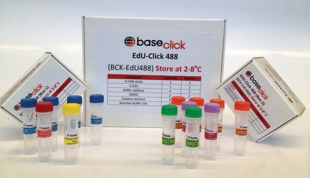 EdU-Click 488 sufficient for 100 assays