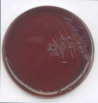 Levine EMB-Agar NutriSelect&#174; Plus, suitable for microbiology