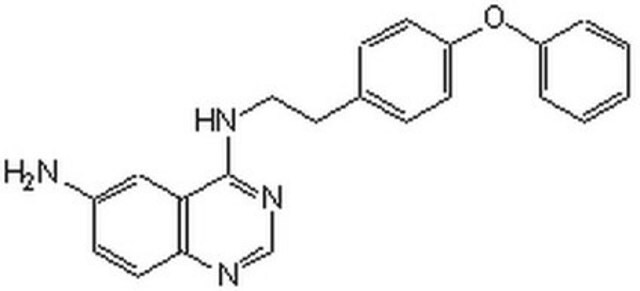 NF-&#954;B-Aktivierungsinhibitor InSolution, &#8805;98%