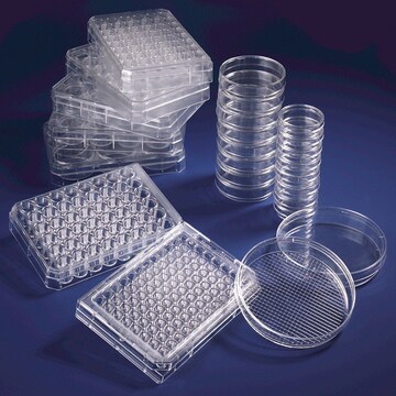 Nunc&#174; UpCell&#8482; Surface cell culture multidish size 24&#160;wells, case of 6&#160;ea