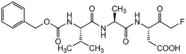 半胱天冬酶抑制剂VI Z-VAD-FMK, CAS 161401-82-7, is an irreversible pan caspase inhibitor. Does not require pretreatment with esterase for in vitro studies.