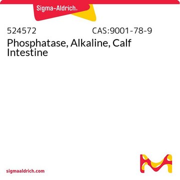 Phosphatase, alkalisch, aus Kälberdarm