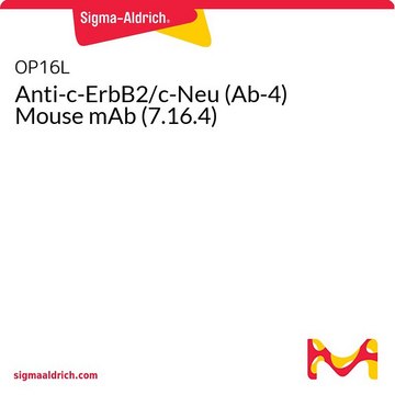 Anti-c-ErbB2/c-Neu (Ab-4) Mouse mAb (7.16.4)