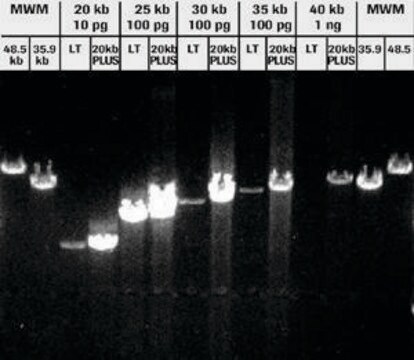 Expand&#8482; 20 kbPLUS PCR System sufficient for &#8804;40&#160;reactions, pkg of 200&#160;U, suitable for PCR