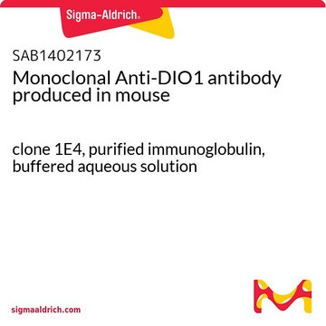 Monoclonal Anti-DIO1 antibody produced in mouse clone 1E4, purified immunoglobulin, buffered aqueous solution