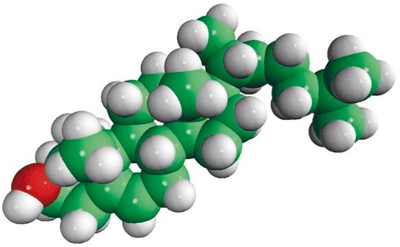 Cholesterin (pflanzlich) Avanti Research&#8482; - A Croda Brand