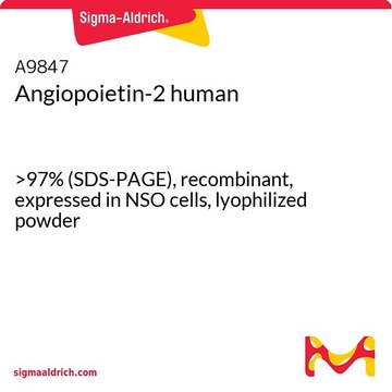 血管生成素-2 人 &gt;97% (SDS-PAGE), recombinant, expressed in NSO cells, lyophilized powder