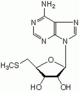 5&#8242;-Desoxy-5&#8242;-methylthioadenosin A cell-permeable, reversible, and ATP-competitive naturally-occurring co-product of polyamine biosynthesis that acts as an endogenous substrate of methylthioadenosine phosphorylase (MTAP).