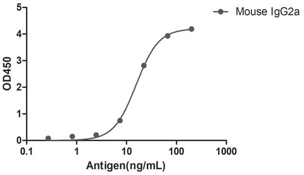 Alpaca Anti-Mouse IgG2a(Fc&#947;) HRP single domain Antibody recombinant Alpaca(VHH) Nano antibody