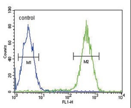 ANTI-CD11B(N-TERMINAL) antibody produced in rabbit affinity isolated antibody, buffered aqueous solution