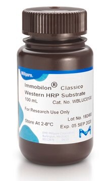 Immobilon Classico Western HRP底物 Western blotting, dot/slot blotting