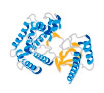 p300 (catalytic domain) human recombinant Human recombinant p300 (catalytic domain) expressed in E. Coli.