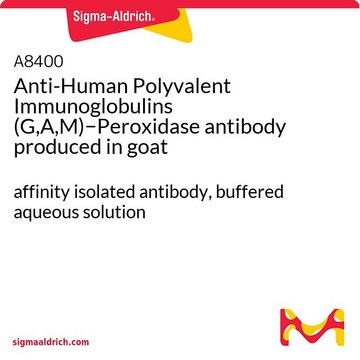 Anti-Human Polyvalent Immunoglobulins (G,A,M)&#8722;Peroxidase antibody produced in goat affinity isolated antibody, buffered aqueous solution