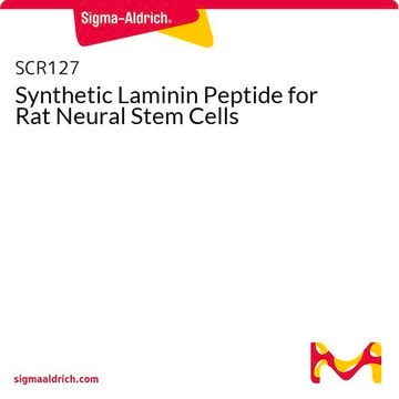 Peptide de synthèse mimétique de la laminine pour cellules souches neurales de rat