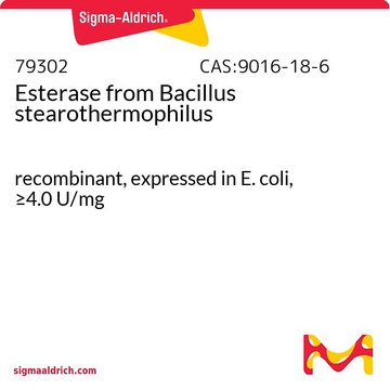 酯酶 来源于嗜热脂肪芽胞杆菌 recombinant, expressed in E. coli, &#8805;4.0&#160;U/mg