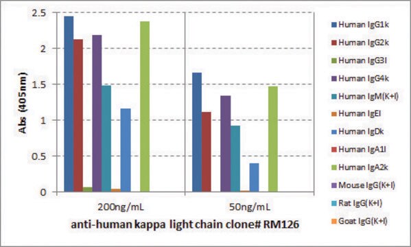 Anti-Human Kappa Light Chain-Biotin antibody, Rabbit monoclonal recombinant, expressed in HEK 293 cells, clone RM126, purified immunoglobulin