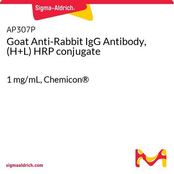 Anticorpo IgG anti-coelho de cabra, conjugado com HRP (H+L) 1&#160;mg/mL, Chemicon&#174;