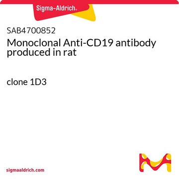 Monoclonal Anti-CD19 antibody produced in rat clone 1D3