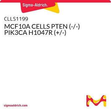 KOMÓRKI MCF10A PTEN (-/-) PIK3CA H1047R (+/-)