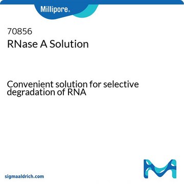 RNase-A-Lösung Convenient solution for selective degradation of RNA