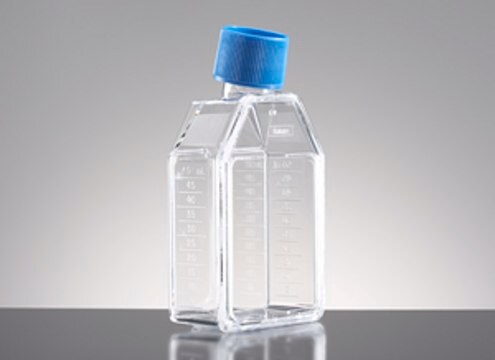 Corning&#174; BioCoat&#8482; Collagen I Cell Culture Flask capacity 150&#160;cm2, rectangular flask, canted neck, vented, Cap