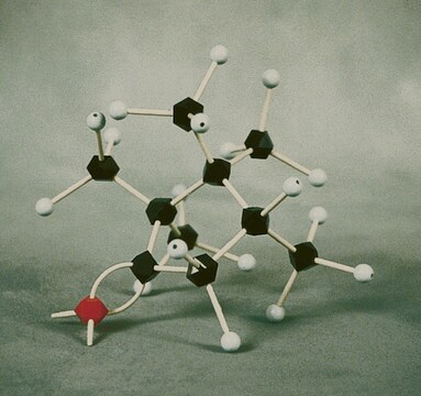 HGS Polyhedron Molekül-Modell student set, fundamental organic chemistry