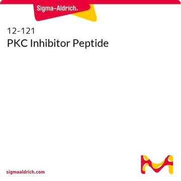 PKC Inhibitor Peptide