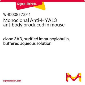 Monoclonal Anti-HYAL3 antibody produced in mouse clone 3A3, purified immunoglobulin, buffered aqueous solution