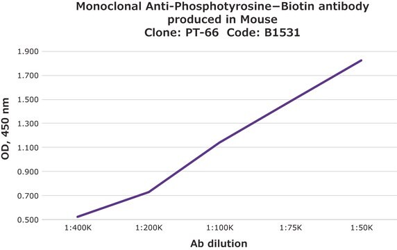 Monoclonal Anti-Phosphotyrosine aus mouse clone PT-66, purified immunoglobulin, buffered aqueous solution