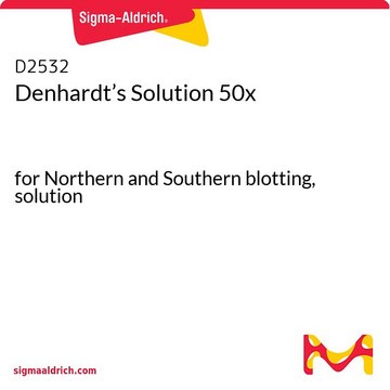 Soluzione di Denhardt 50x for Northern and Southern blotting, solution