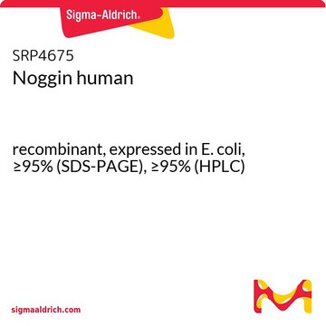 ノギン ヒト recombinant, expressed in E. coli, &#8805;95% (SDS-PAGE), &#8805;95% (HPLC)