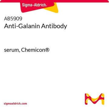 Anti-Galanin-Antikörper serum, Chemicon&#174;