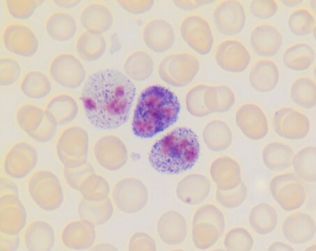 Alkalische Leukozytenphosphatase-Kit based on naphthol AS-MX phosphate and fast blue RR salt