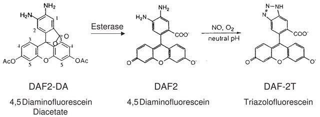 4,5-二氨基荧光素二乙酸酯 溶液 5&#160;mM in DMSO, &#8805;97% (HPLC)