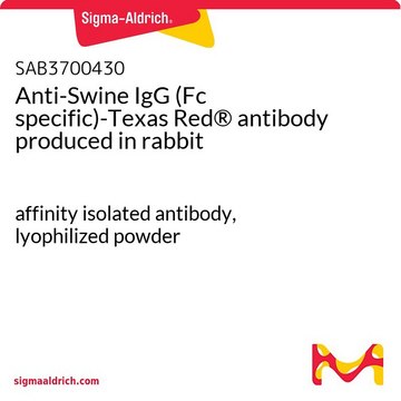 Anti-Swine IgG (Fc specific)-Texas Red&#174; antibody produced in rabbit affinity isolated antibody, lyophilized powder