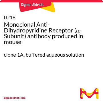 Monoclonal Anti-Dihydropyridine Receptor (&#945;1 Subunit) antibody produced in mouse clone 1A, buffered aqueous solution