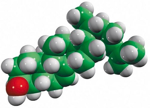 5&#945;-7,24-胆甾二烯 Avanti Research&#8482; - A Croda Brand 700114P, powder