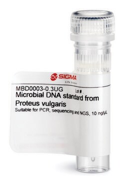 Microbial DNA standard from Proteus vulgaris Suitable for PCR, sequencing and NGS