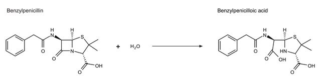 &#946;-Lactamase aus Enterobacter cloacae Type IV, lyophilized powder, 0.2-0.6&#160;units/mg protein (using benzylpenicillin)