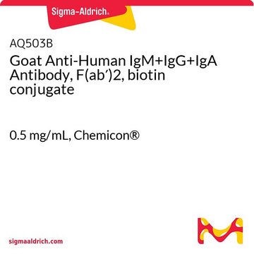 Goat Anti-Human IgM+IgG+IgA Antibody, F(ab&#8242;)2, biotin conjugate 0.5&#160;mg/mL, Chemicon&#174;