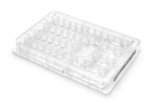 CellASIC ONIX plate for bacteria cells (4 chamber) The B04 plates utilize a microfabricated silicone ceiling with a height similar to bacteria cells to restrict their growth in a single focal plane &amp; maintain x,y position over time.